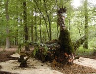 Saint-Avold - Chemin des enfants - 2007